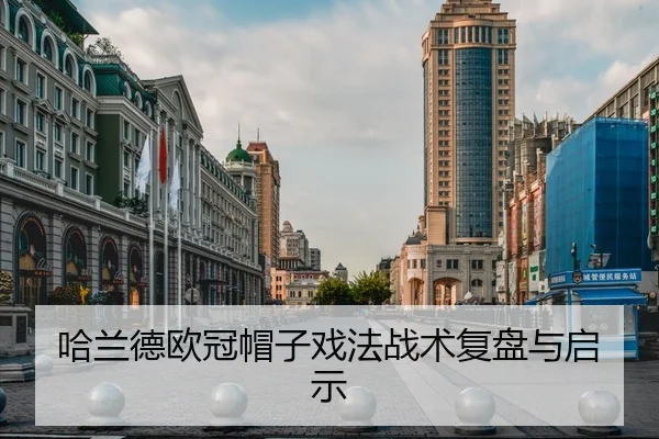 ha-lan-de-ou-guan-mao-zi-xi-fa-zhan-shu-fu-pan-yu-qi-shi-1-569.jpg